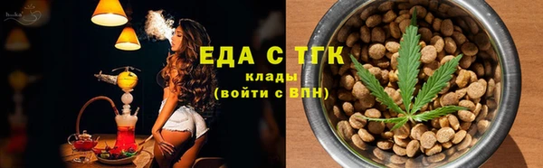 тгк Инсар