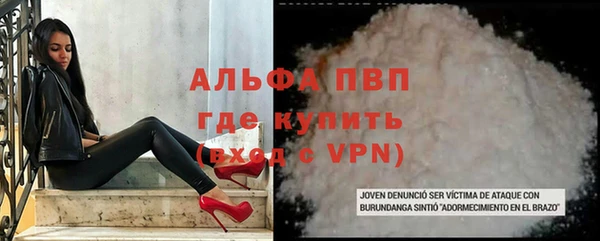 тгк Инсар