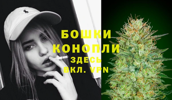 тгк Инсар