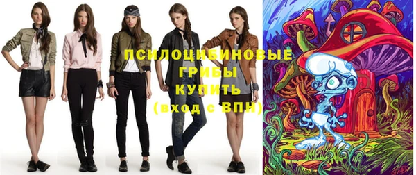 ECSTASY Инта