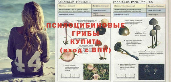 тгк Инсар
