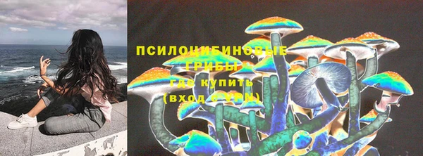 дурь Иннополис