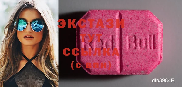 ECSTASY Инта