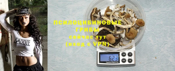 тгк Инсар